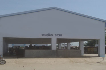 Open Market Shed,Islampur Krishak Bazar